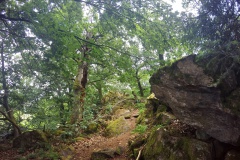 DCIM101GOPROGOPR0053.