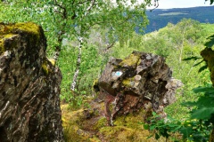 20200607_taben_felsenpfad_4000er-32