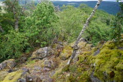20200607_taben_felsenpfad_4000er-34