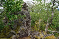 20200607_taben_felsenpfad_4000er-35