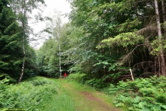 20200607_taben_felsenpfad_4000er-4