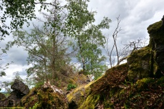 20200607_taben_felsenpfad_4000er-41