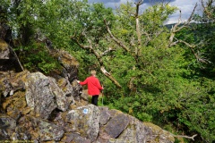 20200607_taben_felsenpfad_4000er-42