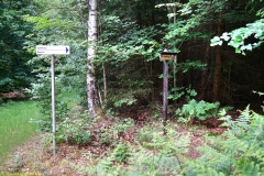 20200607_taben_felsenpfad_4000er-5