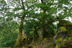 20200607_taben_felsenpfad_4000er-51