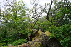 20200607_taben_felsenpfad_4000er-52