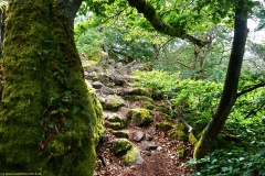 20200607_taben_felsenpfad_4000er-53