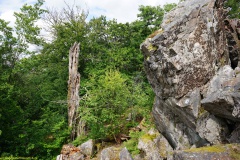 20200607_taben_felsenpfad_4000er-58