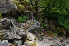 20200607_taben_felsenpfad_4000er-59