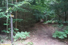 20200607_taben_felsenpfad_4000er-6