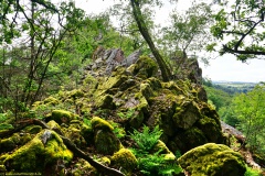 20200607_taben_felsenpfad_4000er-61