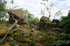 20200607_taben_felsenpfad_4000er-63