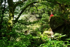 20200607_taben_felsenpfad_4000er-64