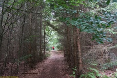 20200607_taben_felsenpfad_4000er-7