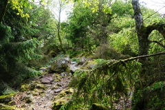 20200607_taben_felsenpfad_4000er-70