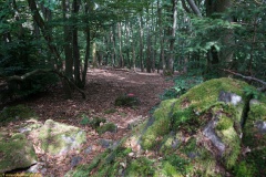 20200607_taben_felsenpfad_4000er-71