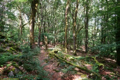 20200607_taben_felsenpfad_4000er-72