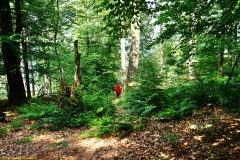 20200607_taben_felsenpfad_4000er-73