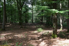 20200607_taben_felsenpfad_4000er-75