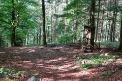 20200607_taben_felsenpfad_4000er-77