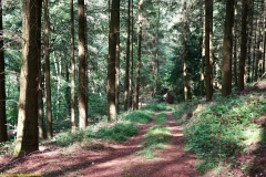 20200607_taben_felsenpfad_4000er-78