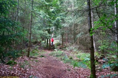 20200607_taben_felsenpfad_4000er-8