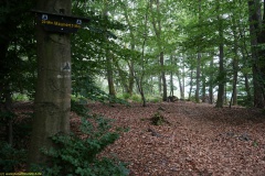 20200607_taben_felsenpfad_4000er-9